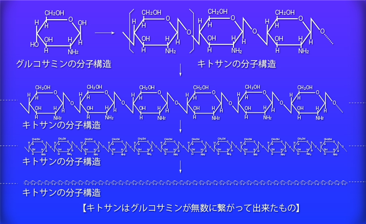 グルコサミンから高分子キトサン