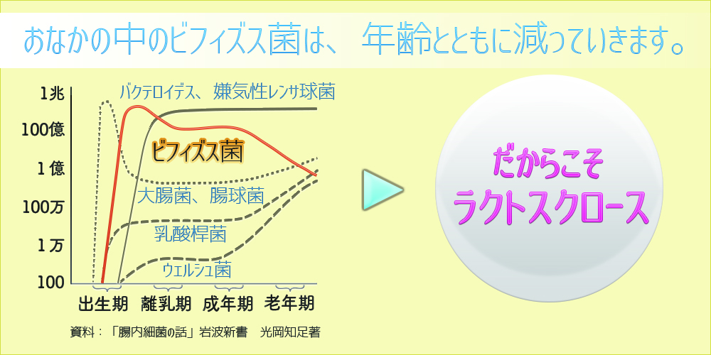 ビフィズス菌のグラフ