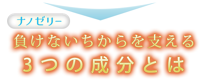 負けないちから支える