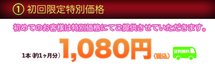 初回限定説明